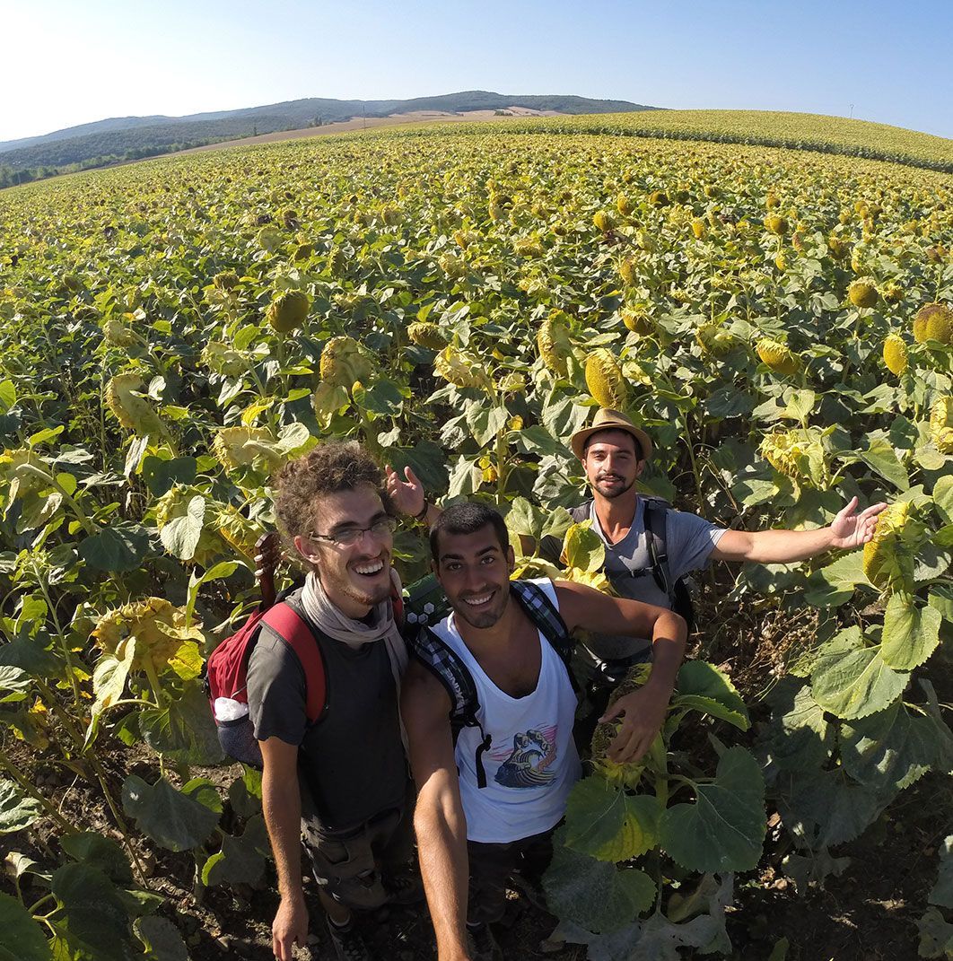 camino de santiago